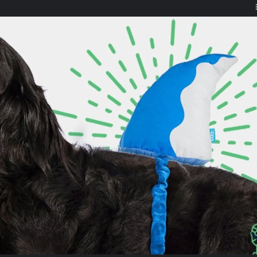 Bark Box Halloween Bark Fin